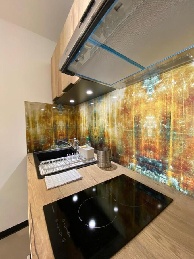 Tour Ramus- Appartements Albertville Zewnętrze zdjęcie